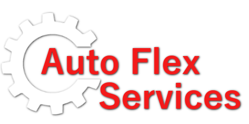Website Logo